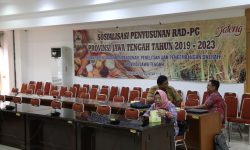 SOSIALISASI PENYUSUNAN RAD PG TAHUN 2019-2023