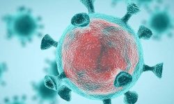 PERTAMA KALI DI JATENG, 2 PASIEN POSITIF VIRUS CORONA DINYATAKAN SEMBUH, GANJAR : INI KABAR BAIK