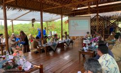 OMSET PINTAR MENERANGI AKSES KAWASAN WISATA MANGROVE